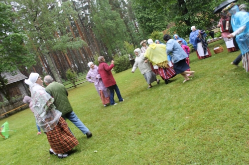 Folkloras kopa ZEIĻA piedalās NOVADU DIENĀ Brīvdabas muzejā, Rīgā 11.06.2016_30