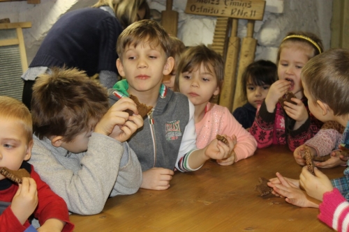 Ozolaines un Lūznavas pagastu bērnudārzi apmeklēja muzeju Rēzeknē 22.02.2017._26